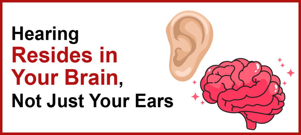 Hearing connection with Brain