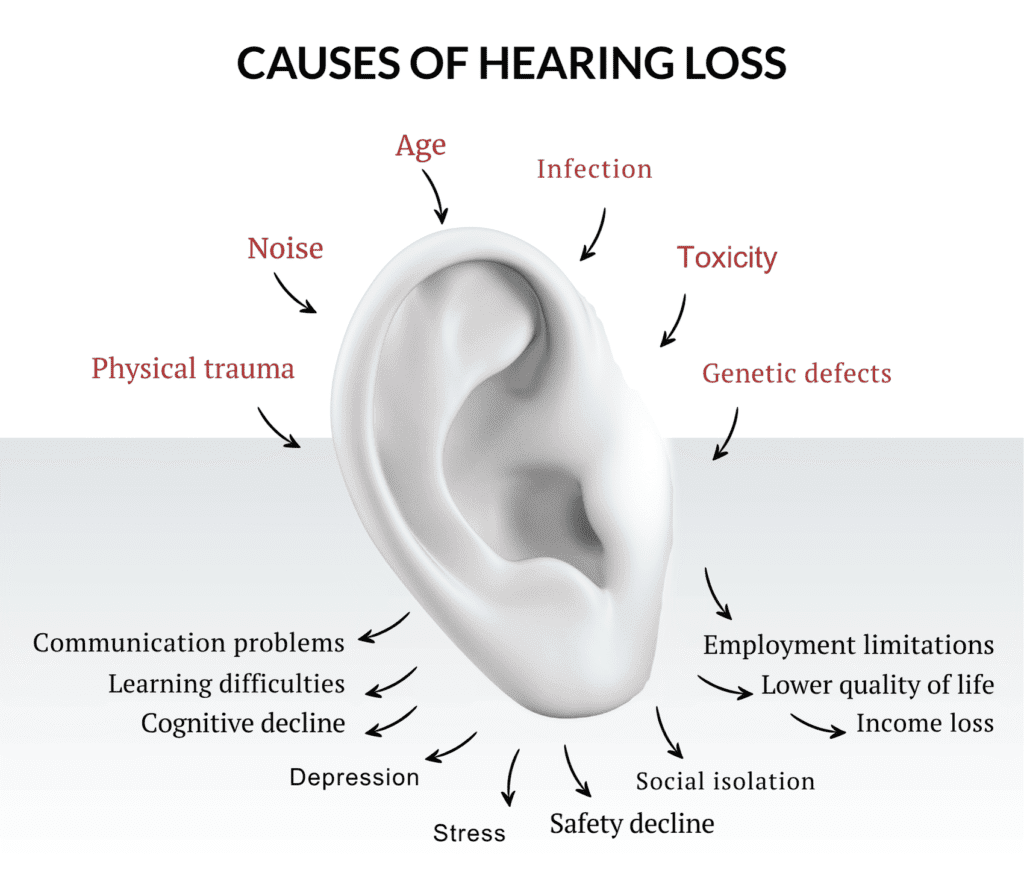 hearing loss causes