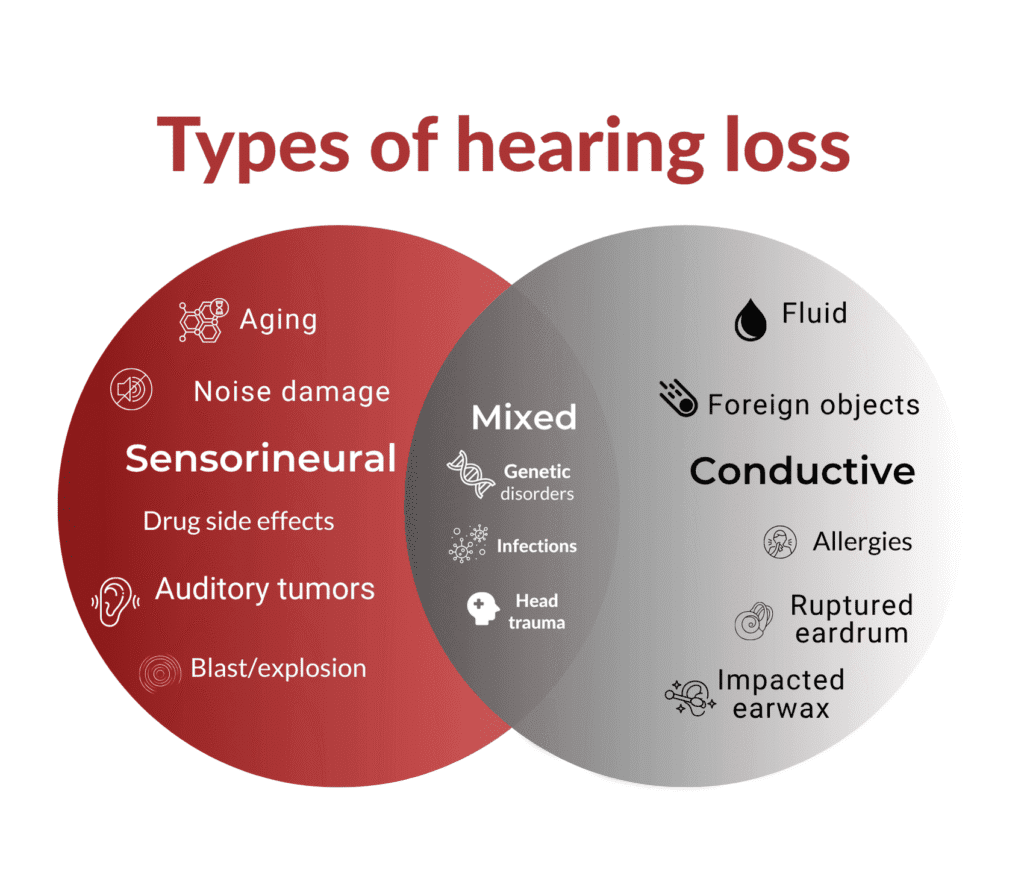 types of hearing loss/deafness